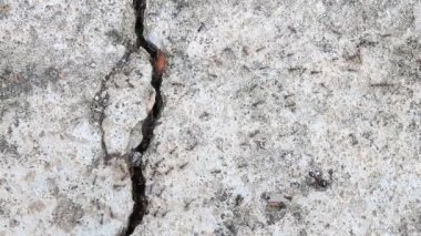 Dışarı siyah karınca mesafede dikey çatlamak