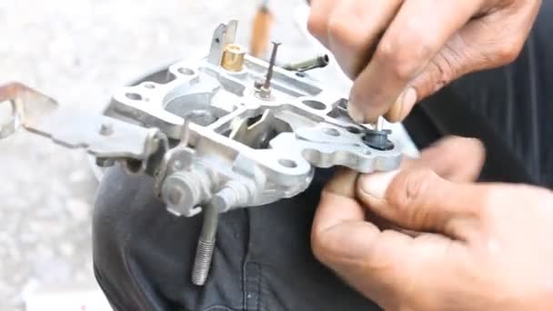 Carburetor Maintenance by Technician — Stock Video