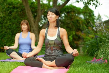 İki Olgun kadın tutmak yaz aylarında yoga yaparak uygun