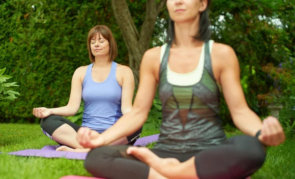 Dos mujeres maduras manteniéndose en forma haciendo yoga en el verano —  Fotos de Stock