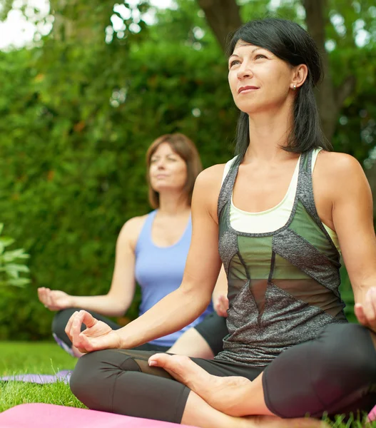 Dos mujeres maduras manteniéndose en forma haciendo yoga en el verano —  Fotos de Stock