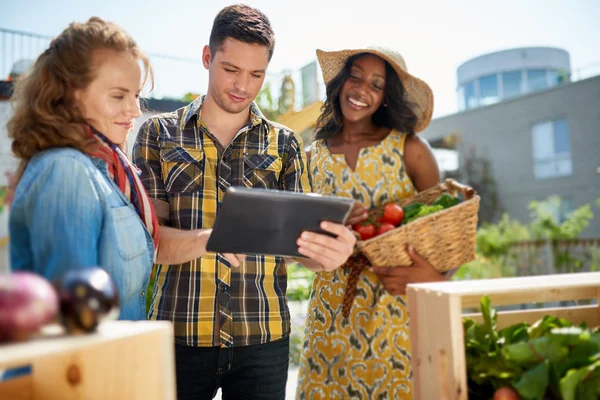 Vriendelijke vrouw neigt een biologische plantaardige kraam op een boerenmarkt en verkopen verse groenten uit de tuin op het dak — Stockfoto