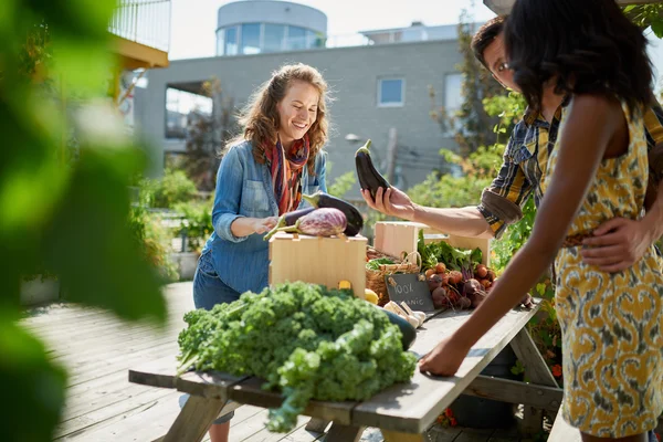 Mulher amigável cuidando de uma barraca de vegetais orgânicos em um mercado de agricultores e vendendo legumes frescos do jardim no telhado — Fotografia de Stock