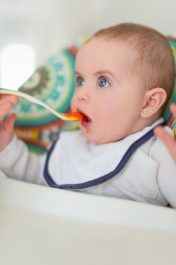Şirin Bebek püresi yiyor