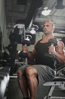 bumbbells ağırlık vasıl belgili tanımlık jimnastik salonu ile çalışma dışarı vücut geliştirmeci  