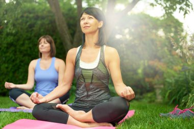 İki Olgun kadın tutmak yaz aylarında yoga yaparak uygun