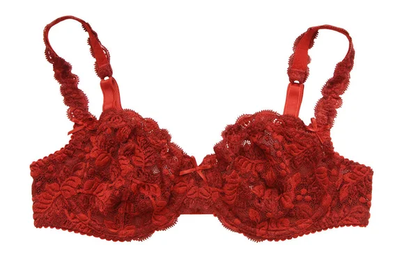 Lace Bra Has Wine Colour Dark Red Brassiere White Background — Stock Photo, Image