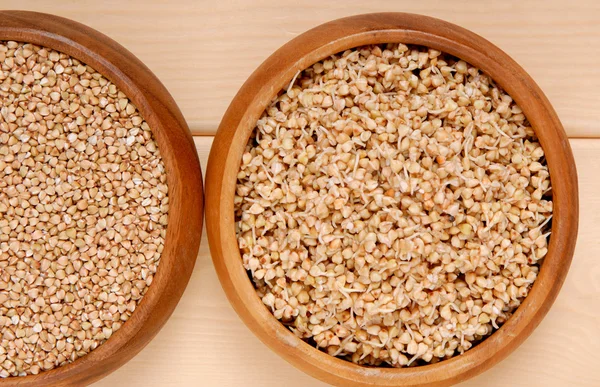 Sprouted kernel of buckwheat and  raw  cereals — Stock Photo, Image
