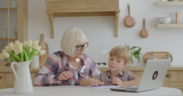 60 abuela haciendo tarea en línea con el nieto preescolar en casa. Mujer mayor en gafas y chico joven estudiando en línea con el ordenador portátil. Educación en línea y proceso de aprendizaje a distancia. — Vídeos de Stock