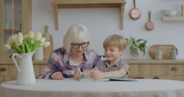 Preschool boy playing board game with grandmother at wooden kitchen. Happy family reading interesting book together. Granny and grandchild having fun. — Stock Video