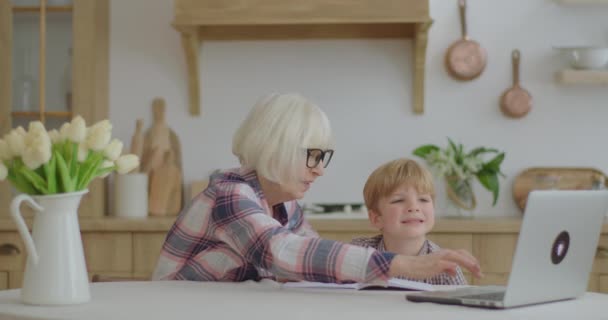 Die Großmutter aus den 60er Jahren macht zu Hause mit dem Enkel im Vorschulalter Online-Hausaufgaben. Seniorin mit Brille und kleiner Junge beim Online-Lernen mit Laptop. Online-Bildung und Fernunterricht. — Stockvideo