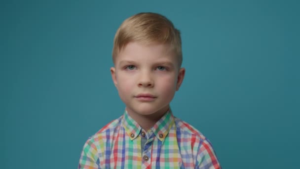 Surprised kid holding head with hands on blue background. Preschool boy showing shock emotion looking at camera. — Stock Video
