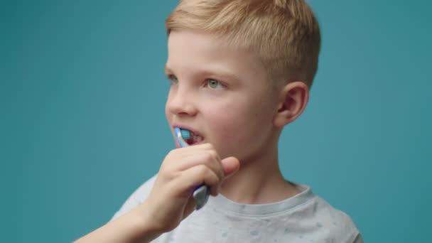 Retrato de niño preescolar cepillándose los dientes de pie solo sobre fondo azul. Niño se cepilla los dientes con cepillo de dientes. — Vídeo de stock