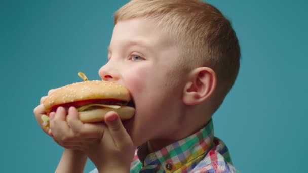 手に持っているハンバーガーを食べ、青い背景のカメラを見ている子供の終わり。就学前の男の子はファーストフードを楽しむ. — ストック動画