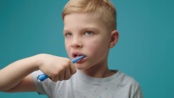 Retrato de un niño joven cepillándose los dientes de pie sobre fondo azul. El niño se cepilla los dientes con cepillo de dientes. — Vídeo de stock