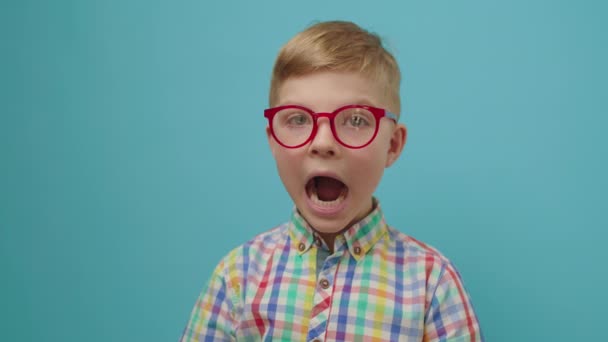 Здивована дитина в окулярах відкриває рот, що стоїть на синьому фоні. Хлопчик дошкільного віку, що показує шокові емоції, дивлячись на камеру . — стокове відео