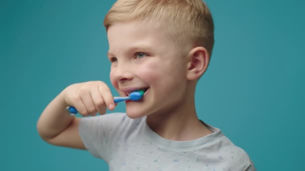 รูปภาพของเด็กหนุ่มแปรงฟันยืนบนพื้นหลังสีฟ้า เด็กแปรงฟันด้วยแปรงสีฟัน . — วีดีโอสต็อก