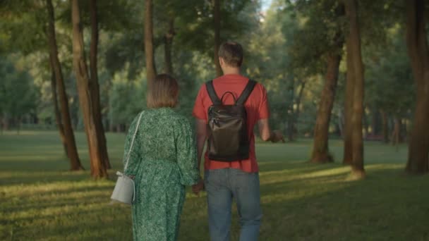 Een stel uit de 30 dat hand in hand loopt in het groene park. Gelukkige familie op zoek naar een plek voor een picknick. Achteraanzicht van wandelende mensen. — Stockvideo