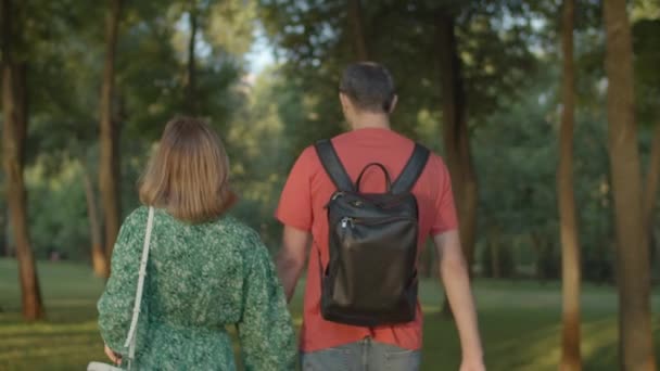 Een stel uit de 30 dat hand in hand loopt in het groene park. Gelukkige familie op zoek naar een plek voor een picknick. Achteraanzicht van wandelende mensen. — Stockvideo