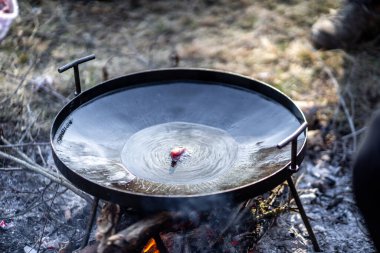 cooking in the forest park on the campfire in the pot with smoke