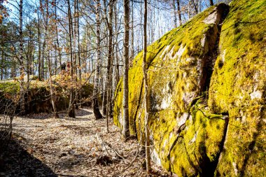 Mythical mossy stones in the woods