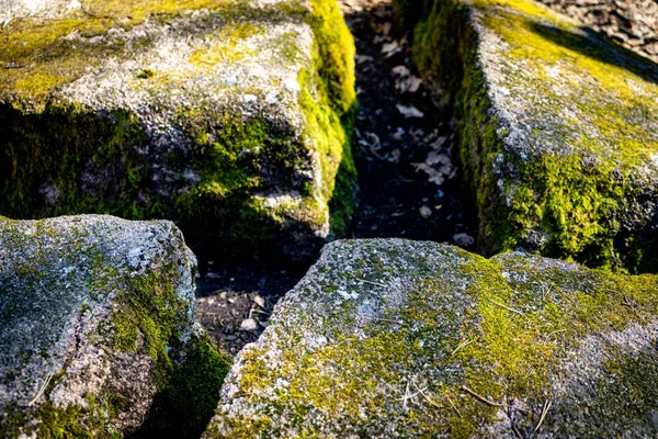 Mythical Mossy Stones Woods — Stockfoto