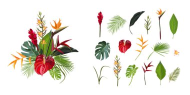 Beyaz arka planda egzotik yaprakları olan tropik bitkiler ve çiçek demeti. Yaz partisi davetiyesi koleksiyonu, düğün kartı, afiş. Vektör illüstrasyonu.