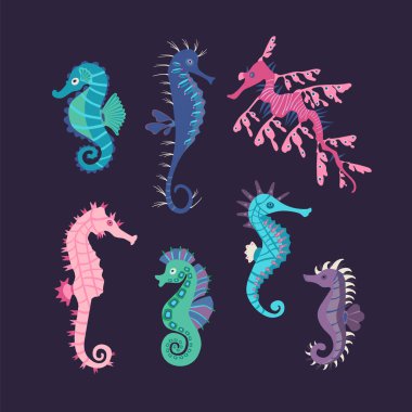 Set colorful seahorses. Pretty seahorses different silhouette on dark background. For festive card, logo, children, pattern, tattoo, decorative, creative concept. Cartoon vector illustration clipart