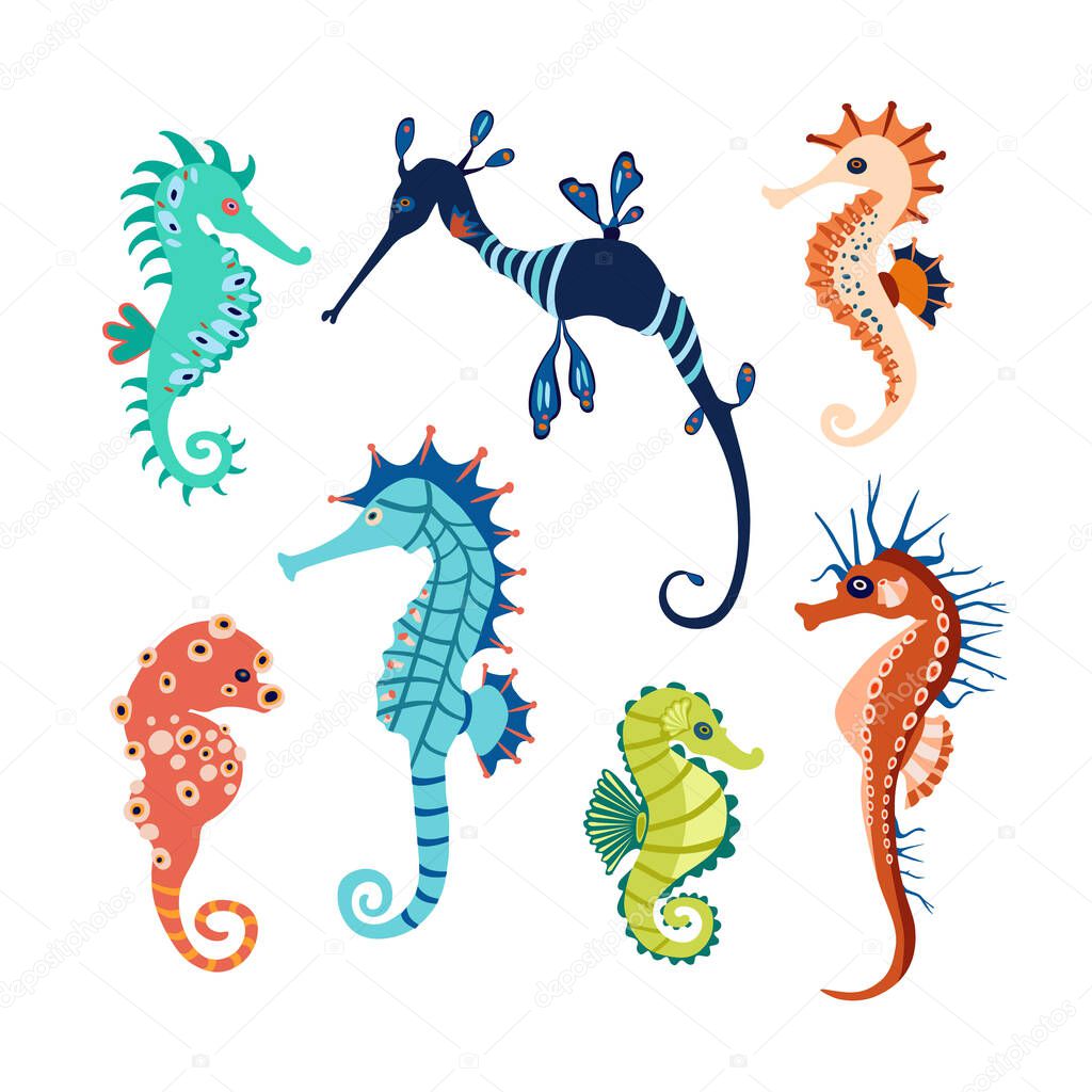 Set colorful seahorses. Pretty seahorses different silhouette on white background. For festive card, logo, children, pattern, tattoo, decorative, creative concept. Cartoon vector illustration.