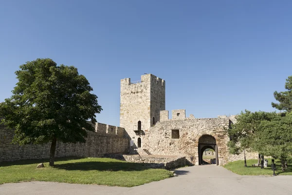 Puerta y torre del déspota dentro del complejo de la fortaleza de Belgrado, Serbia — Foto de Stock