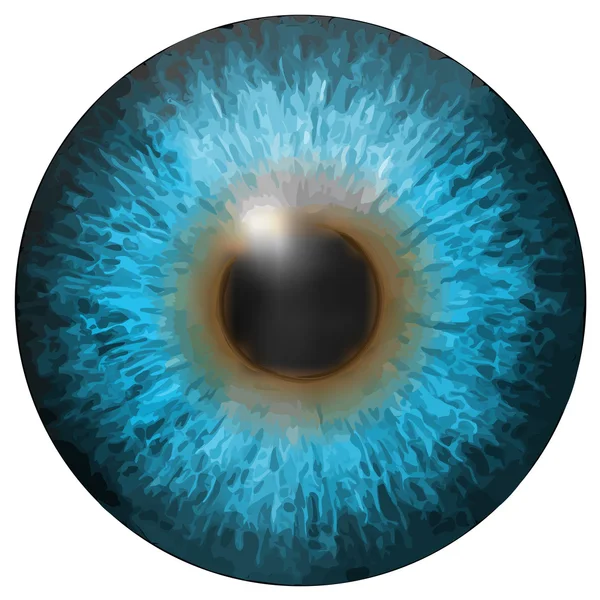 Eye iris vector textuur — Stockvector