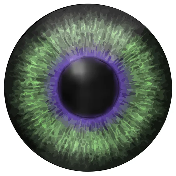 Eye iris vector textuur — Stockvector