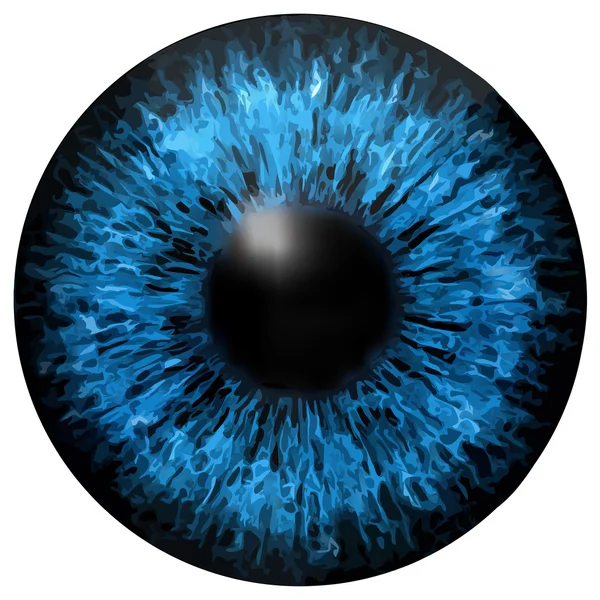 Eye iris vector textuur — Stockvector