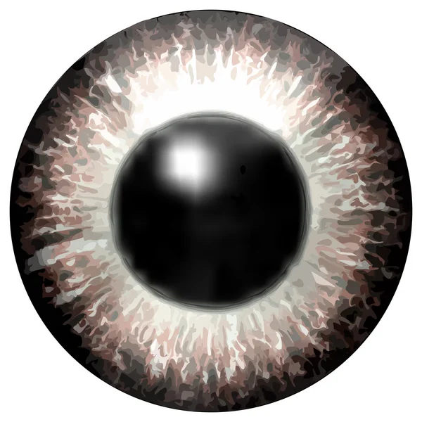 Eye iris generated hires texture Stock Photo by ©PandaWild 119706612