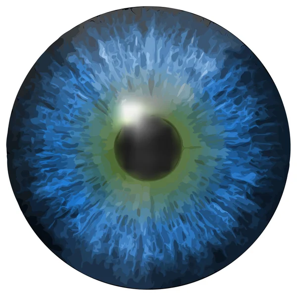 Struttura vettoriale dell'iride oculare — Vettoriale Stock