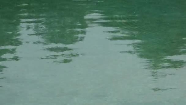 波浪对池塘 — 图库视频影像