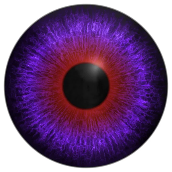 Eye iris generated hires texture — Stock Photo © PandaWild 55184605