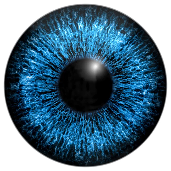 Eye iris generated hires texture — Stock Photo, Image