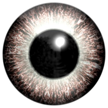 Eye iris generated hires texture clipart