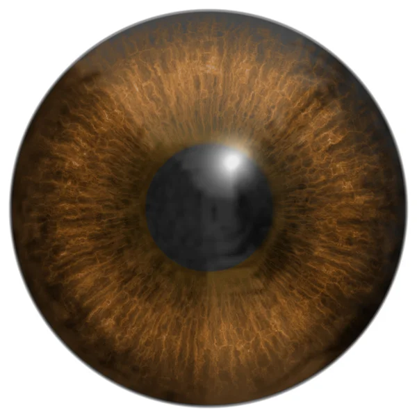 Eye iris generated hires texture — Stock Photo, Image