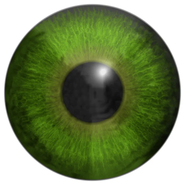 眼睛虹膜生成员工纹理 — 图库照片