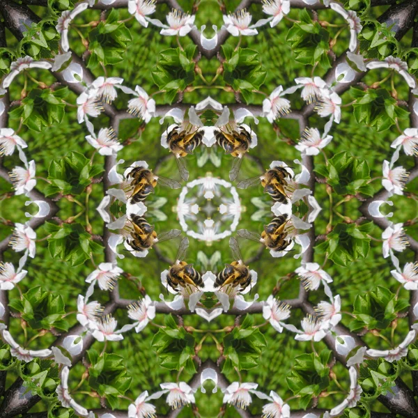 Kalejdoskopisk bi på blomma sömlös genereras textur — Stockfoto