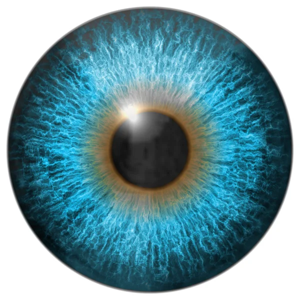 Augen-Iris erzeugt Hires Textur — Stockfoto