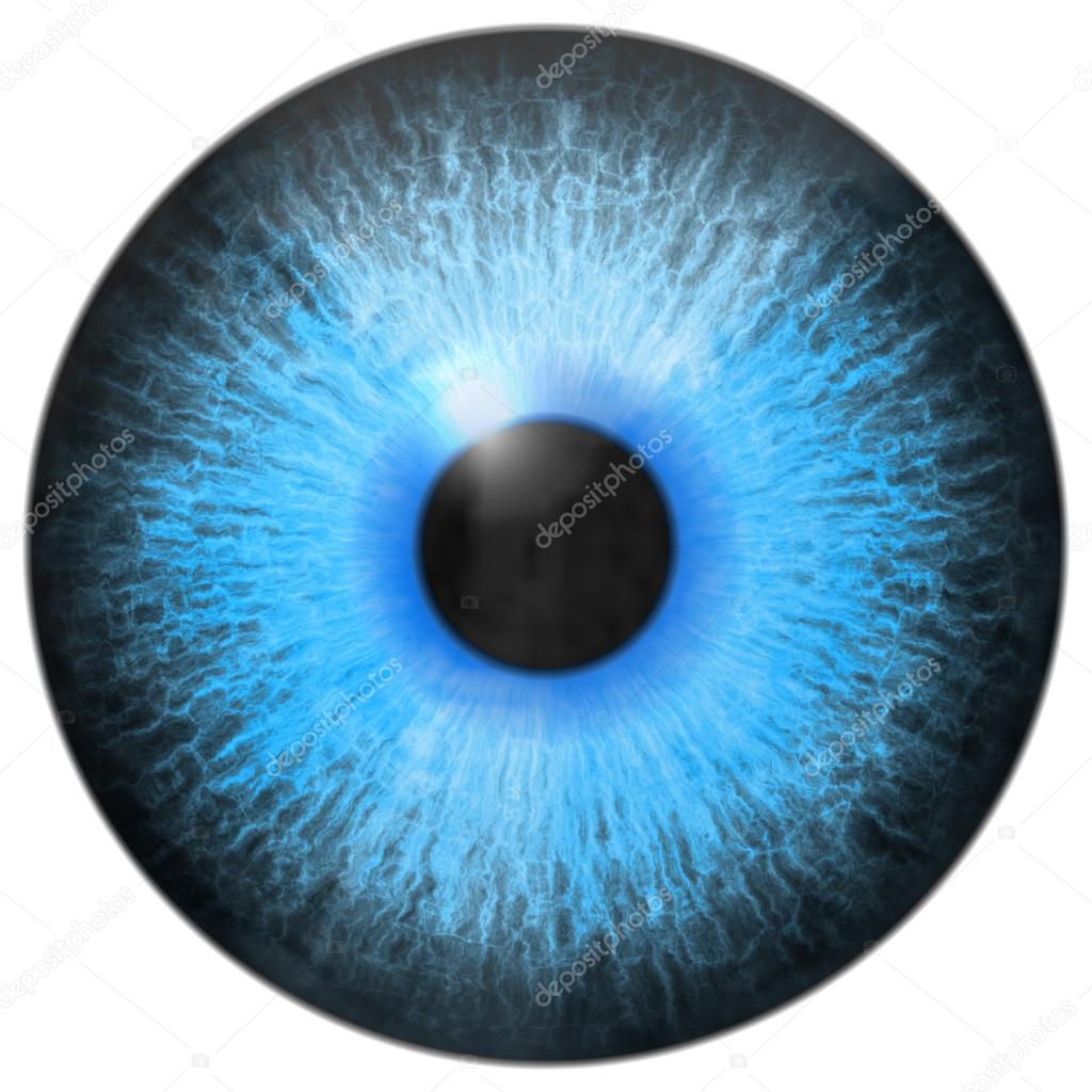 Eye iris generated hires texture Stock Photo by ©PandaWild 54144717 Eye iris generated hires texture Stock Photo by ©PandaWild 54144717