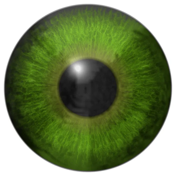 Eye iris generated hires texture Stock Photo by ©PandaWild 120556546