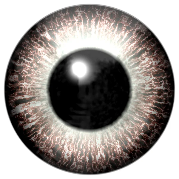 Eye iris generated hires texture — Stock Photo, Image