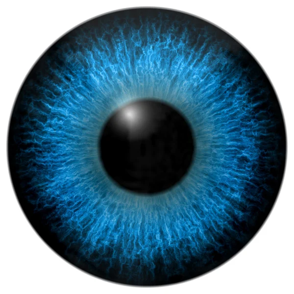 Detail of eye with blue colored iris and black pupil — Stock Photo ...
