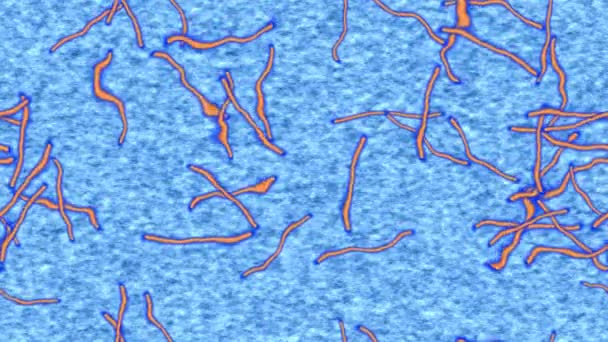 埃博拉病毒生成无缝环视频 — 图库视频影像