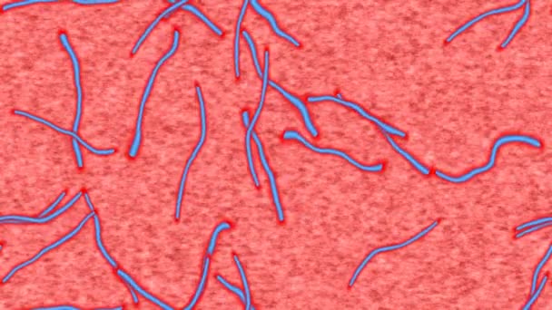 Ebola generated seamless loop video — Stock Video