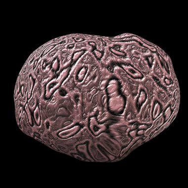 İzole beyin hires doku oluşturulan